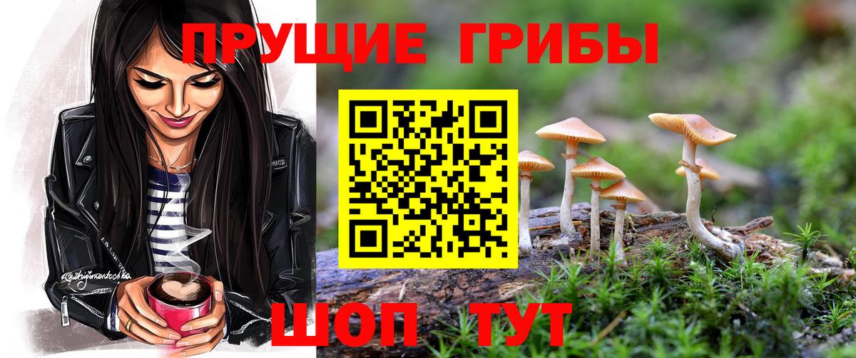 Галлюциногенные грибы MAGIC MUSHROOMS  Вход с VPN  хочу наркоту  Жигулёвск 